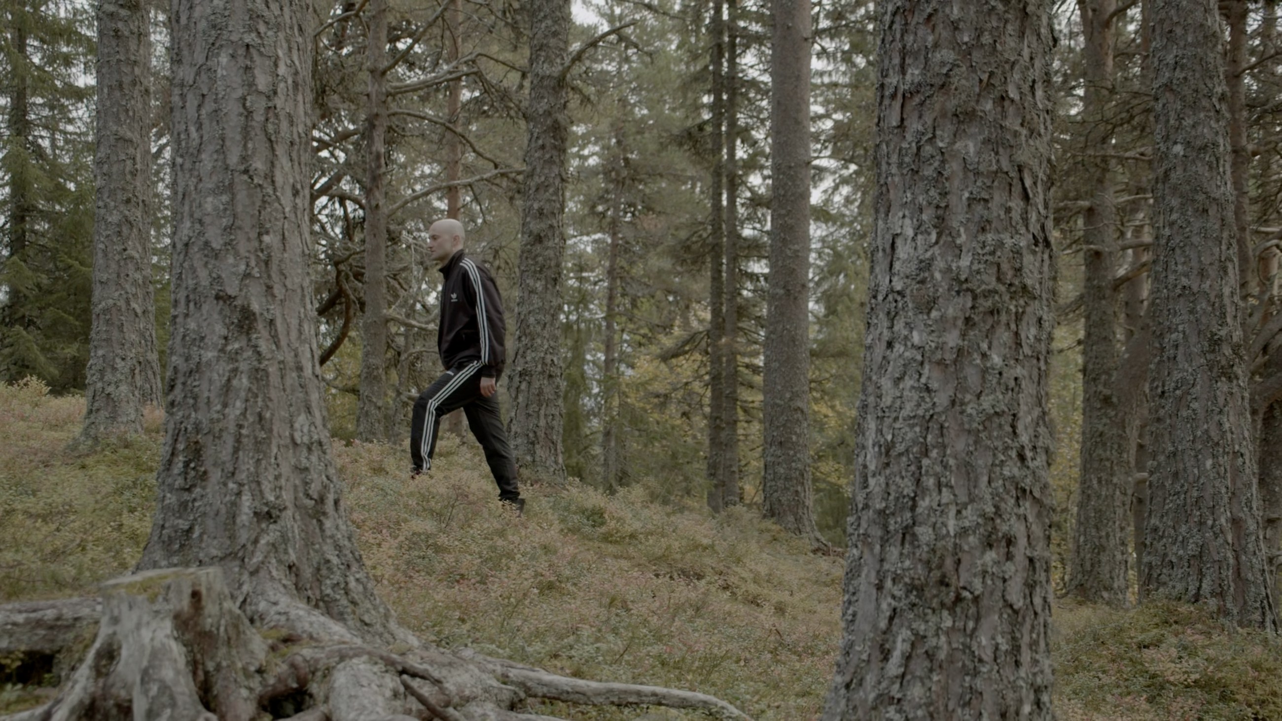 The Living Object, film still
